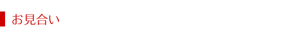 ガイド