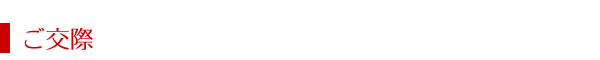 ガイド