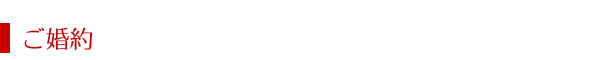ガイド